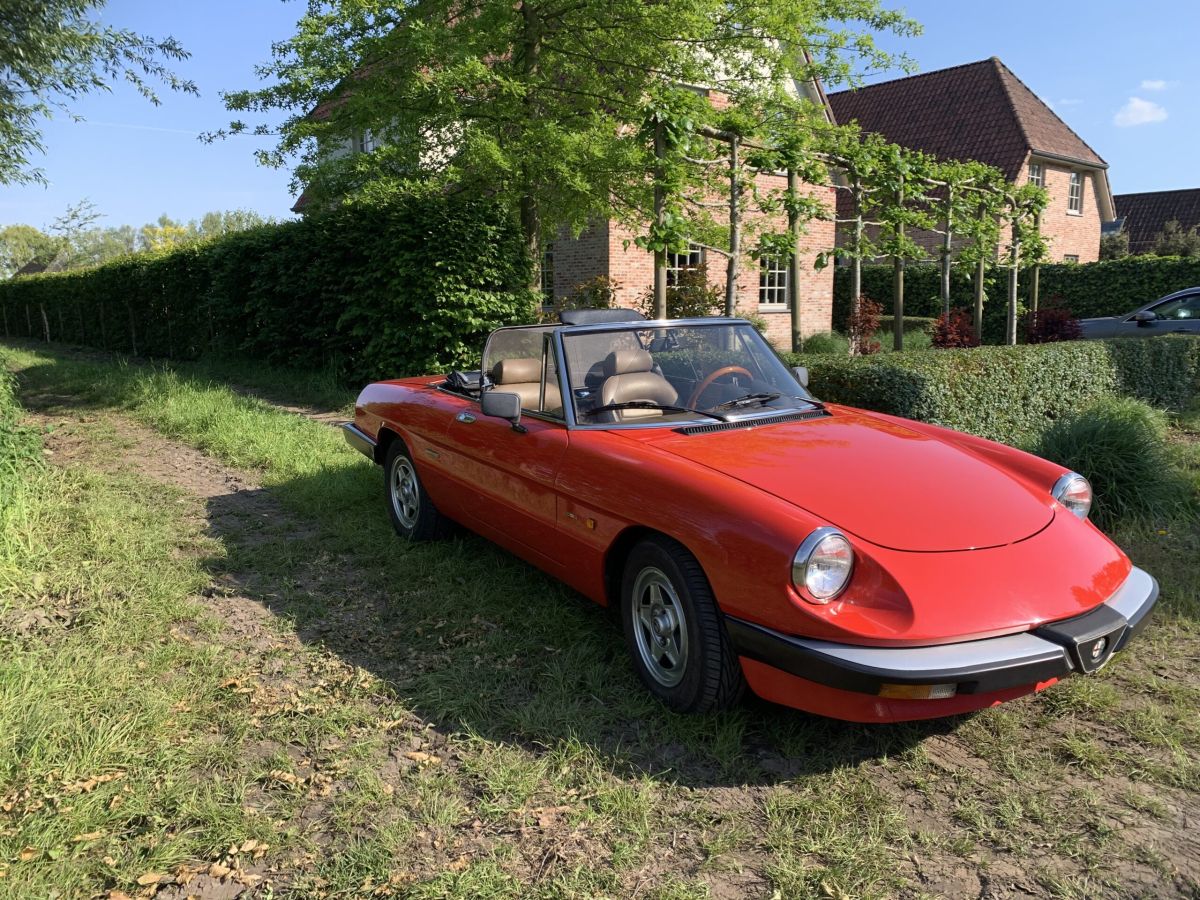 Alfa Romeo Spider Spider  