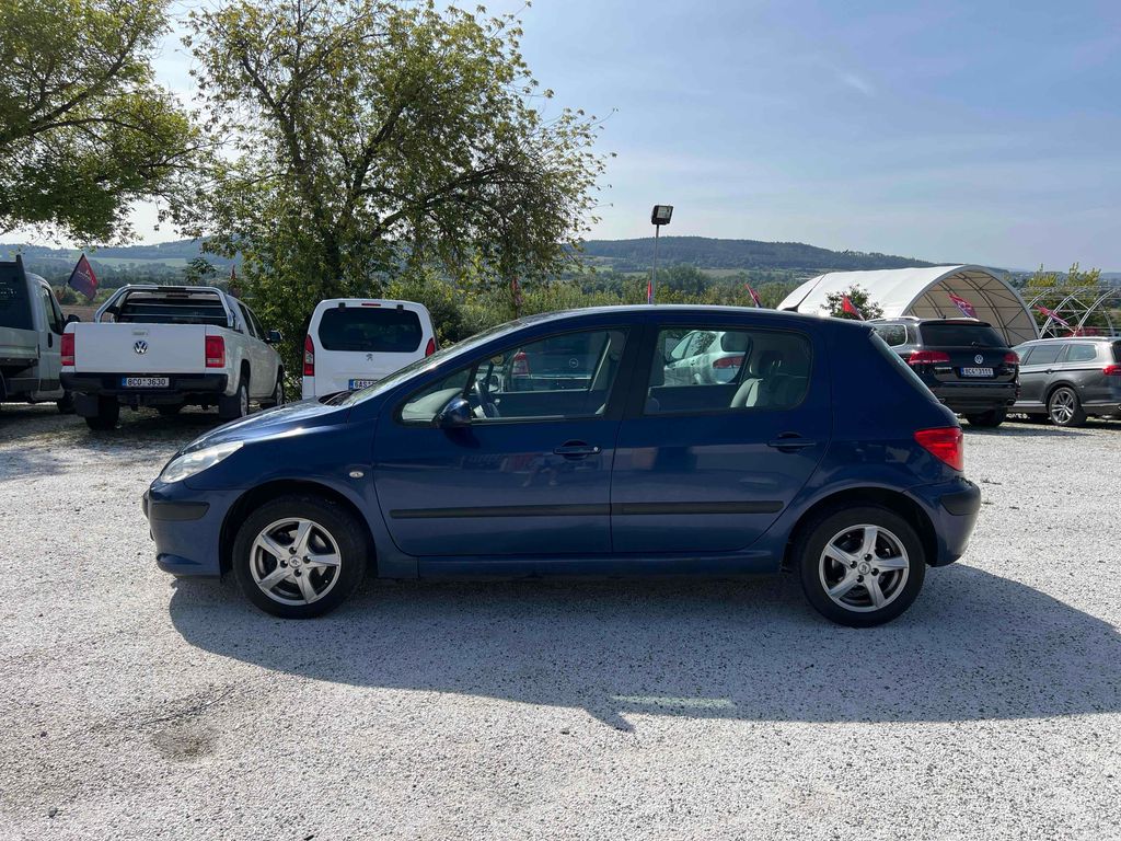 peugeot-307-1-6-i-80kw - 3