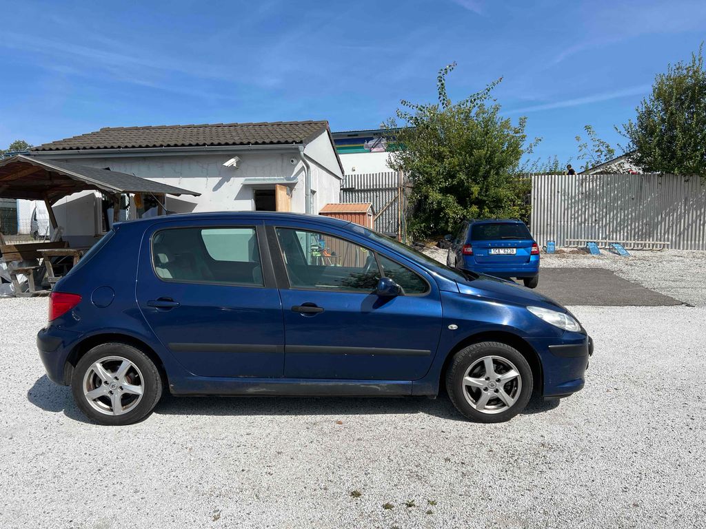 peugeot-307-1-6-i-80kw - 5