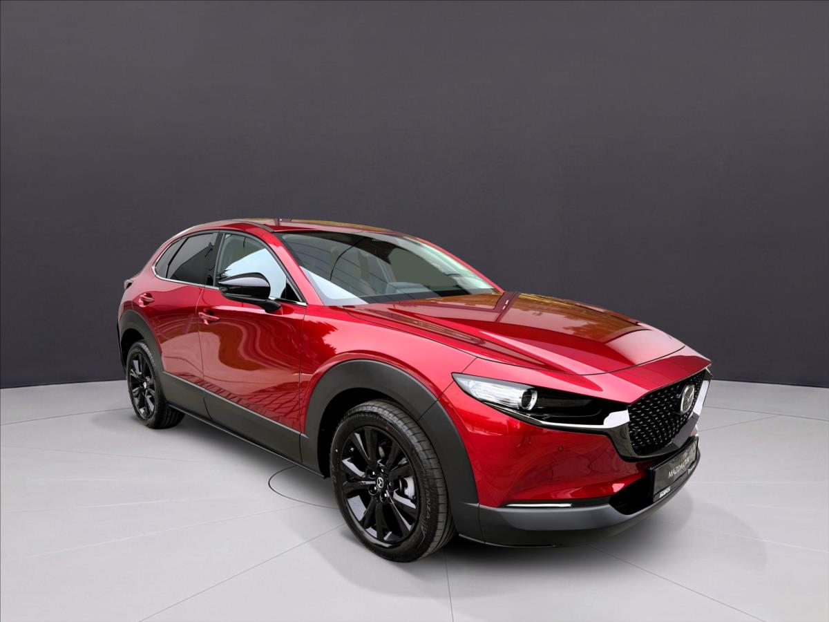 mazda-cx-30-2-5-140ps-6at-fwd-nagisa - 7