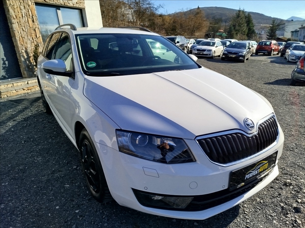 skoda-octavia-2-0-tdi-dsg-1-majitel - 8
