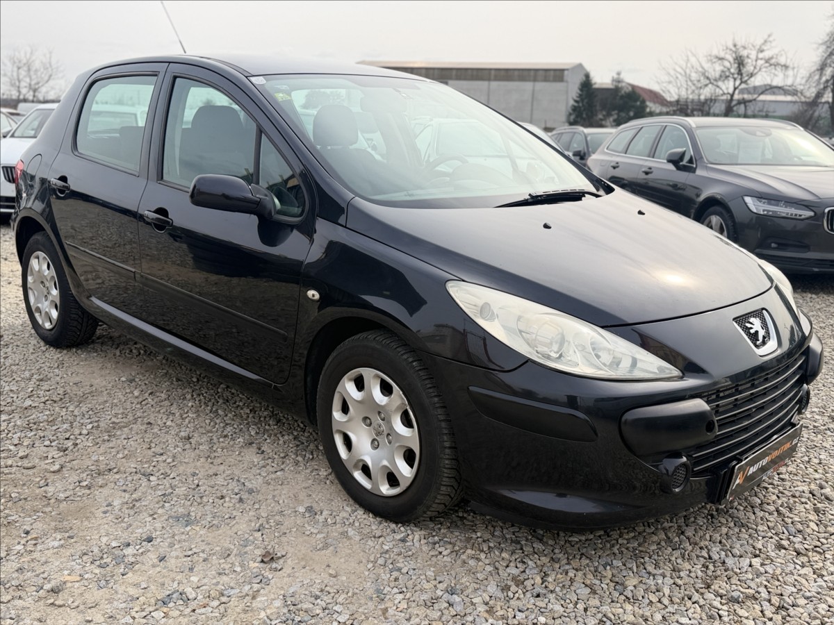 peugeot-307-1-6-hdi-digiklima - 2