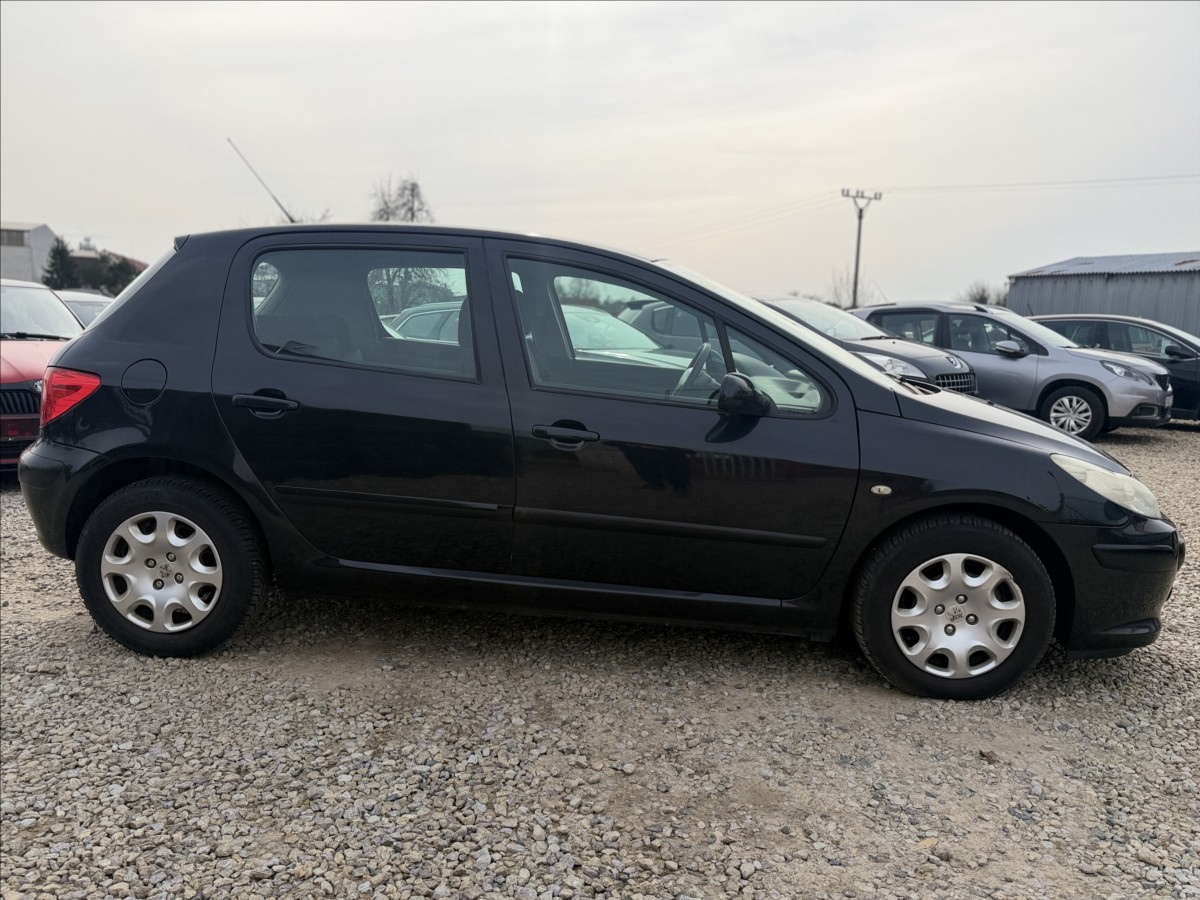 peugeot-307-1-6-hdi-digiklima - 3