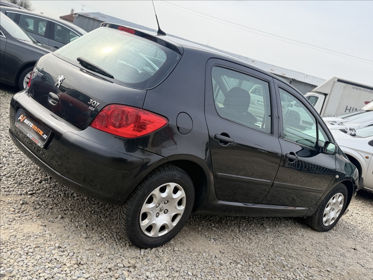 peugeot-307-1-6-hdi-digiklima - 4