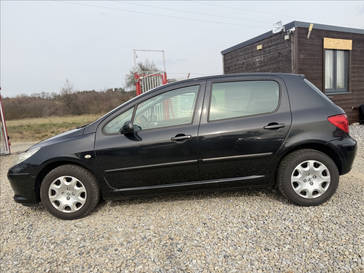 peugeot-307-1-6-hdi-digiklima - 7