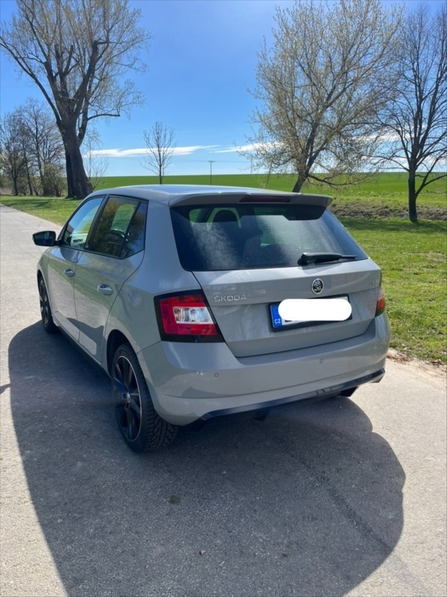 skoda-fabia-monte-carlo - 5
