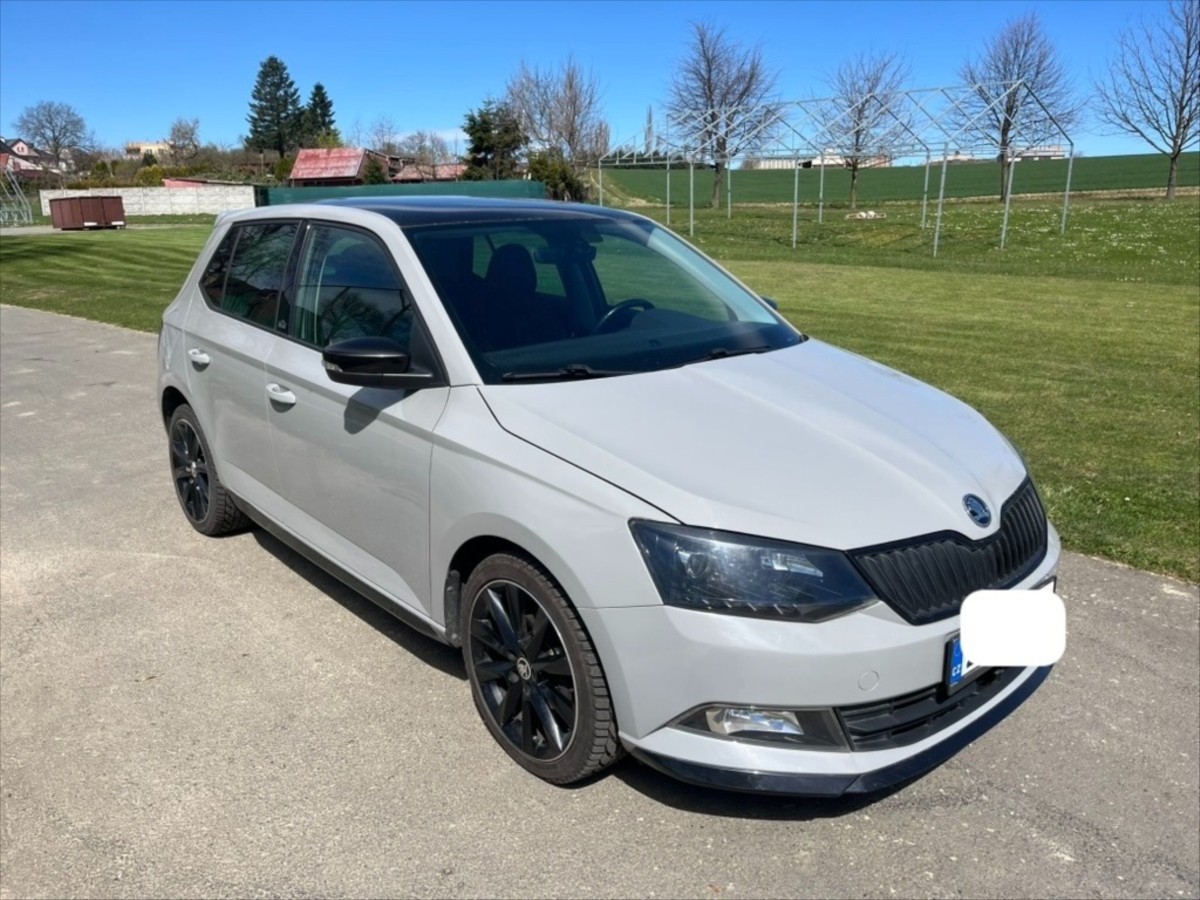 skoda-fabia-monte-carlo - 9