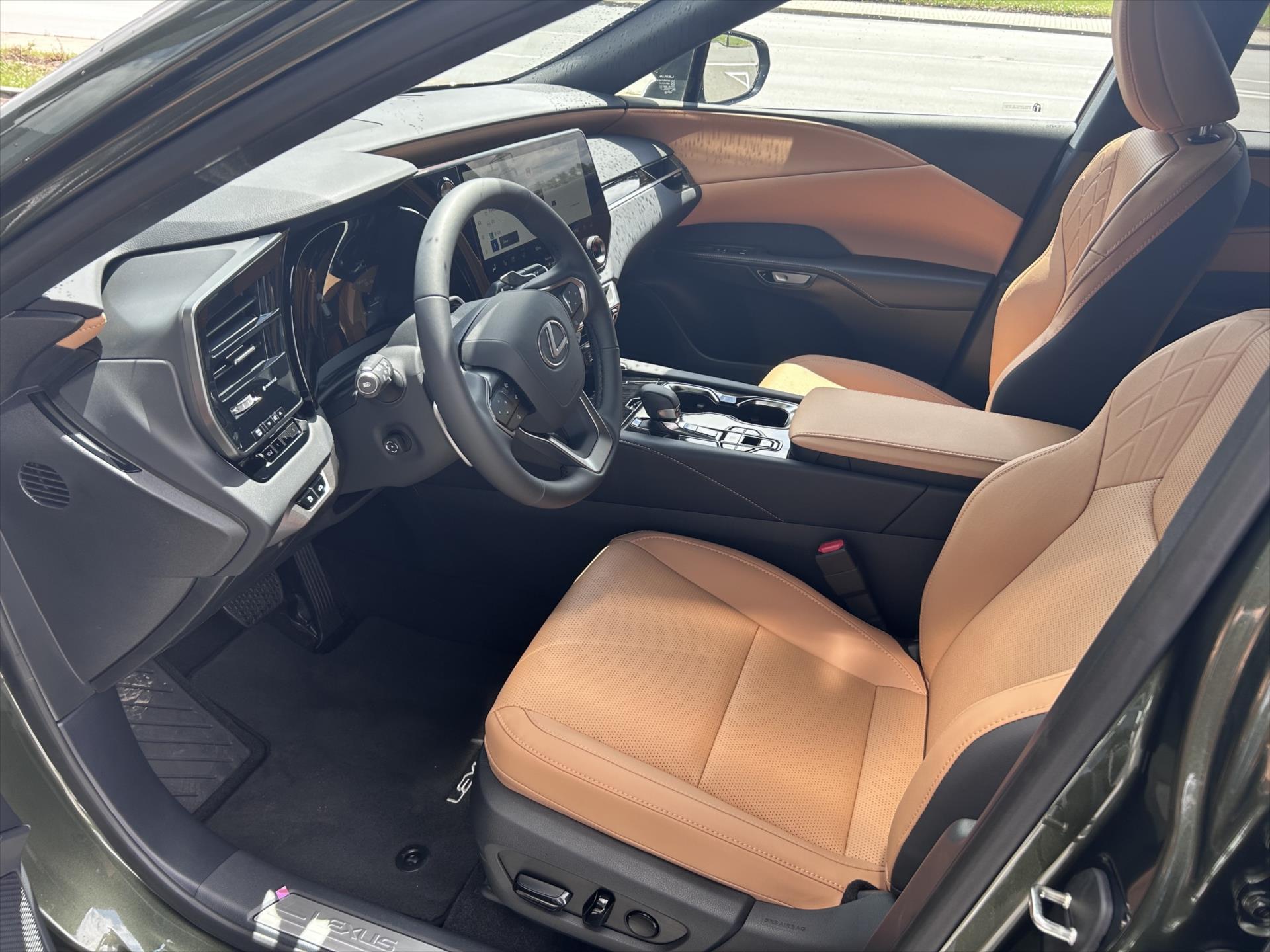 lexus-rx-450h-2-5-executive-plus - 9