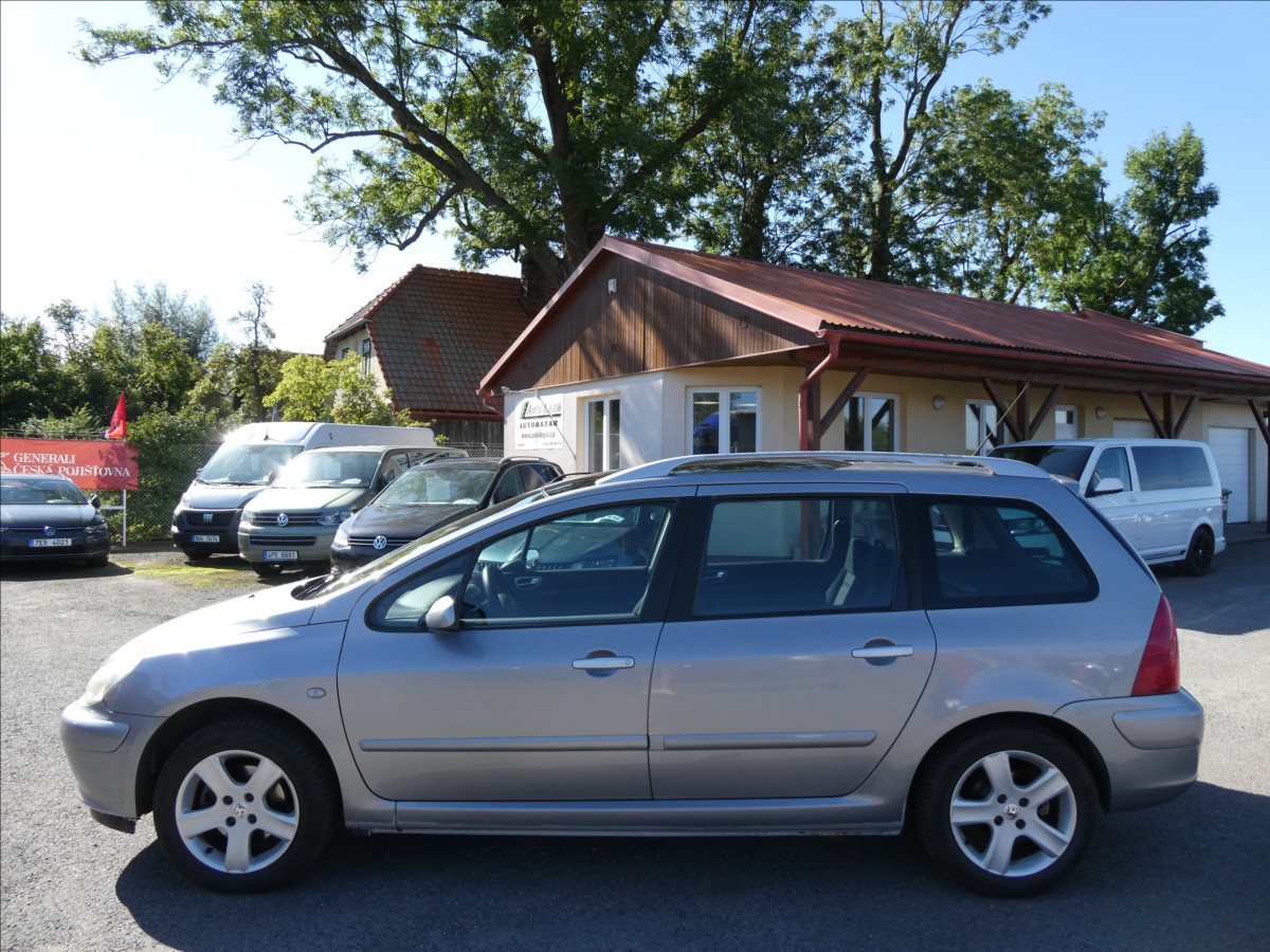 peugeot-307-1-6-16v-80kw-sw-7-mist-panorama - 3
