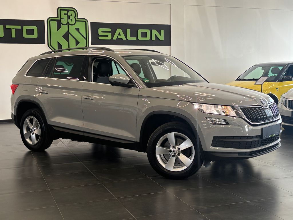 skoda-kodiaq-2-0-tdi-110kw-dsg-servis - 1