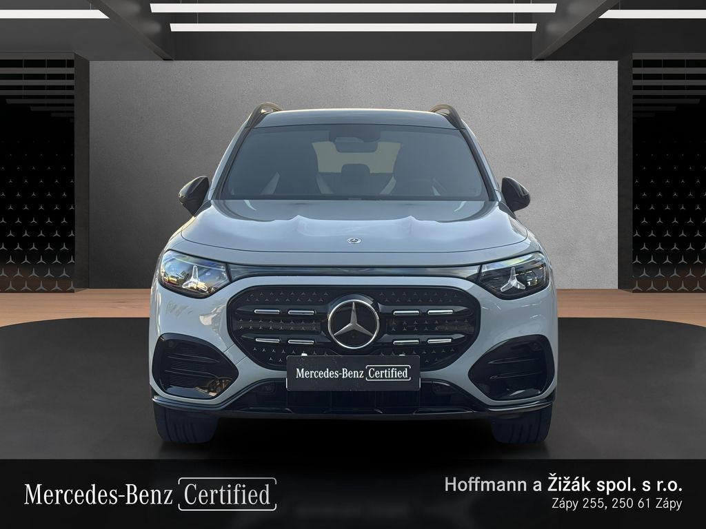 mercedes-benz-250-electric - 1