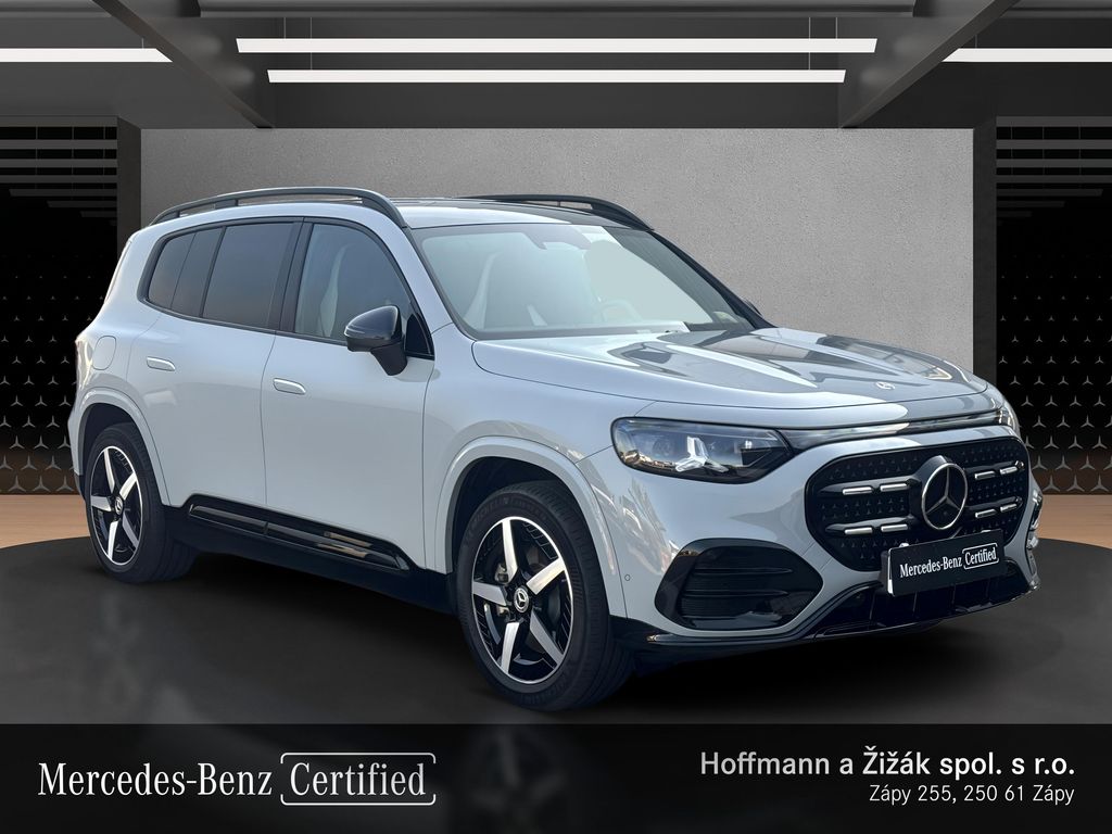 mercedes-benz-250-electric - 2